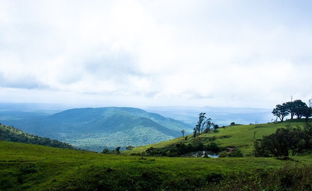 微观察·信心来自哪儿？民营企业座谈会的几个细节.