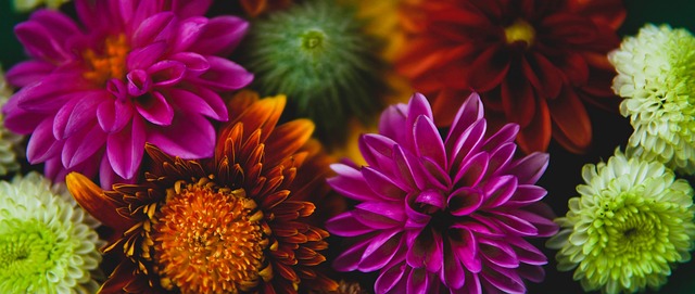 猛料！阿莫林否认无效！皇马砸1.1亿欧硬撬曼联阵.